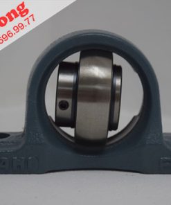 Gối đỡ UCP206 ASAHI-1