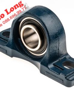 Gối đỡ UCP208 ASAHI