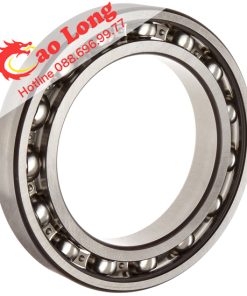 bạc đạn vòng bi 6000 FAG-3