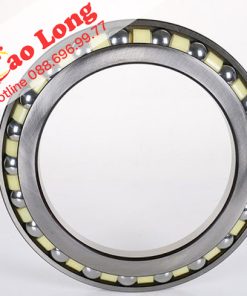 bạc đạn vòng bi 7205 fag