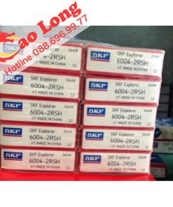 Thông số kỹ thuật vòng bi 6004 SKF