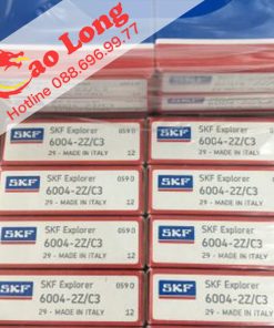 Thông số kỹ thuật vòng bi 6004 SKF