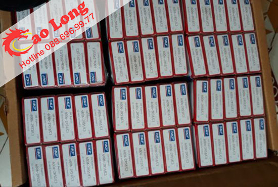 Bạc đạn vòng bi 6006 SKF