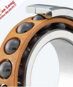 vòng bi chính xác GMN bi gốm