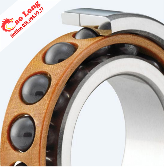 vòng bi chính xác GMN bi gốm