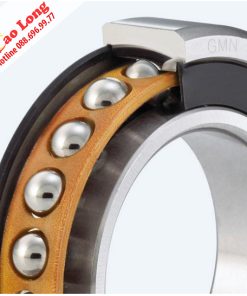 vòng bi chính xác GMN nắp cao su