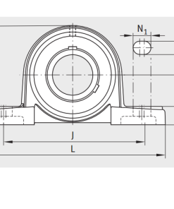 gối đỡ UCP206 FAG Chính hãng