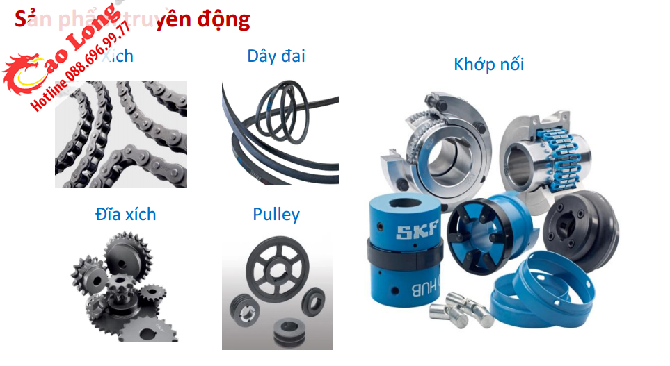 skf nguyên xương