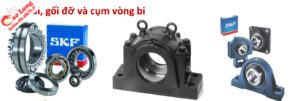 skf nguyên xương