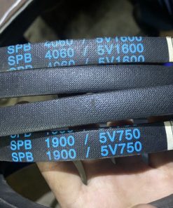 Dây curoa MEGADYNE 5V1600